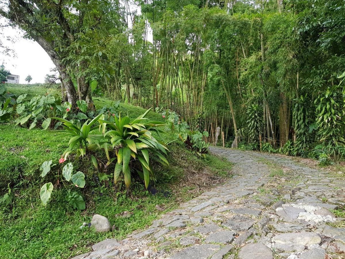 Lodge Paraiso Verde La Linda Exterior photo